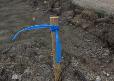 Blue Biodegradable Roll Flag Tied to a Stick