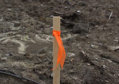 Orange Biodegradable Roll Flag Tied to a Stick
