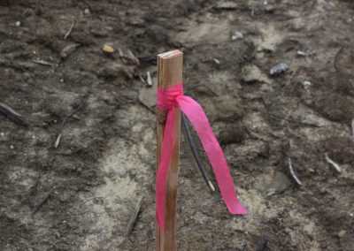Pink Biodegradable Roll Flag Tied to a Stick