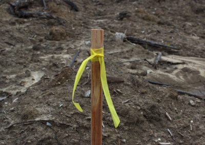 Yellow Biodegradable Roll Flag Tied to a Stick