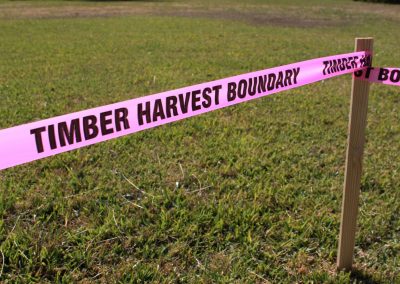 Printed Pink Roll Flagging Tape - Timber Harvest Boundary