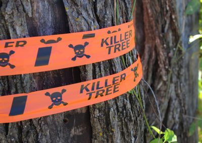 Printed Orange Roll Flagging Tape - Killer Tree
