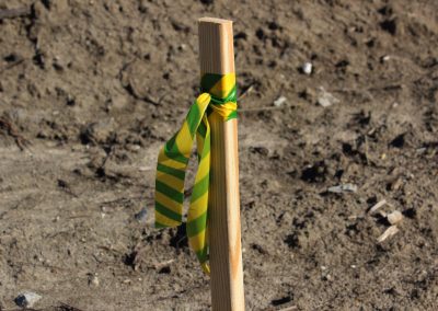 Yellow & Green Stripes Patterned Roll Flagging