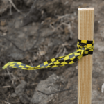 Patterned Roll Flagging Checkerboard In The Field Yellow Black