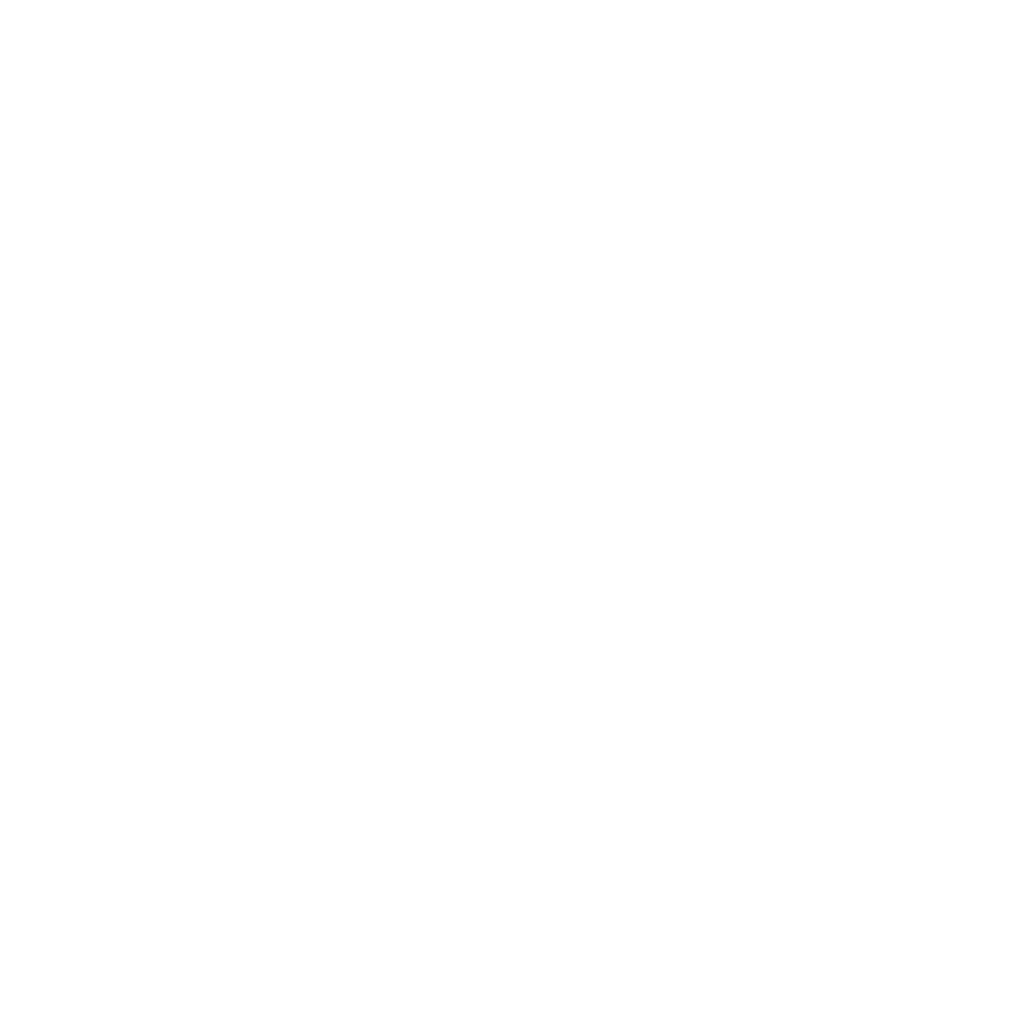 Trident Solutions Logo Vertical White